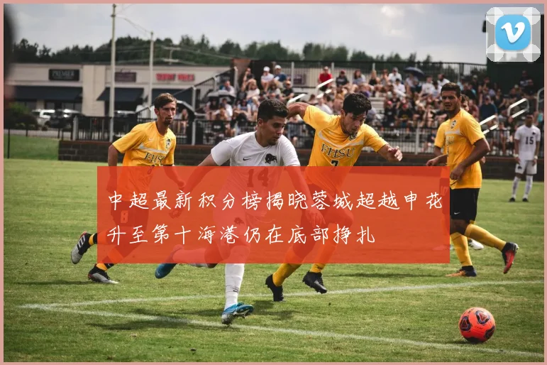 中超最新积分榜揭晓蓉城超越申花升至第十海港仍在底部挣扎